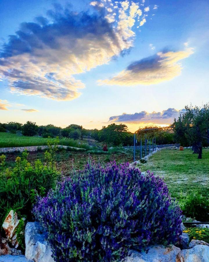 فيلا Trulli Pax Animi مارتينا فرانكا المظهر الخارجي الصورة